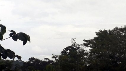 Embraer 195 PR-AXJ na aproximação final antes de pousar em Manaus vindo de Santarém