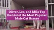 Oliver, Leo, and Milo Top the List of the Most Popular Male Cat Names