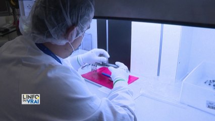 Covid-19 : fabrication des doses de vaccins sous licence