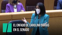 El enfado de Carolina Darias en el Senado: 