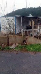 İzmir menderes yenikoy sel sonrasi