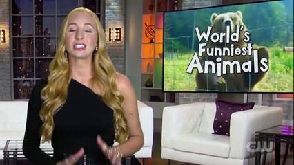 Worlds Funniest Animals S01E11 (27th November 2020)