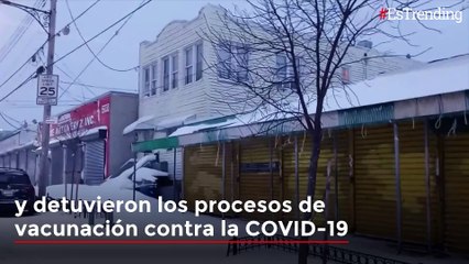 Personas en las casas y animales de paseo, las imágenes de la fuerte tormenta invernal en EE.UU.