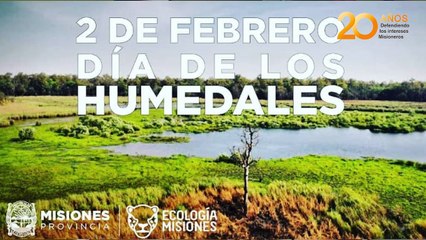 Hoy se celebra el Día Mundial de los Humedales Cuál es la importancia de preservarlos