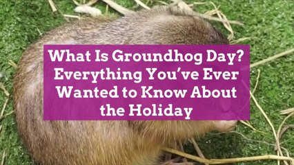 What Is Groundhog Day? Everything You’ve Ever Wanted to Know About the Holiday