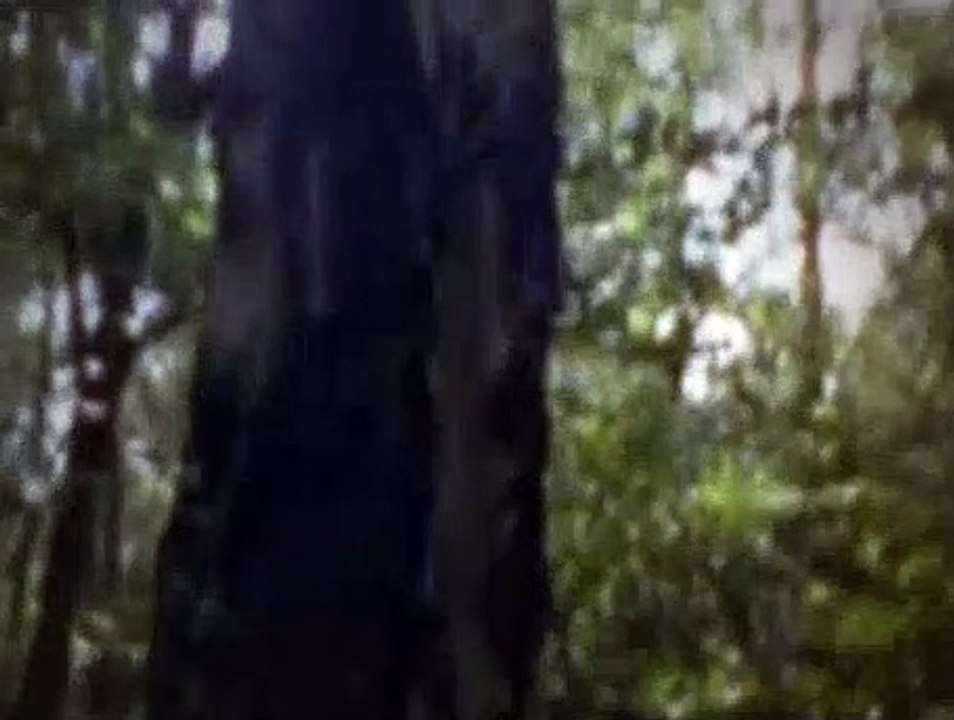 Waking The Dead S06E05 Double Bind part1