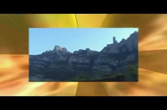 Campanas por la Gripe A - Teresa Forcades (Sobre la Gripe A/2009)