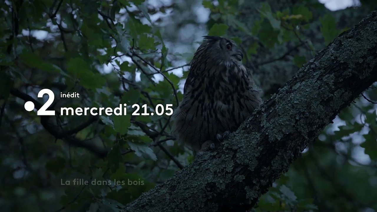 LA FiLLE DANS LES BOIS Bande annonce 2021 France 2 Bulles de Culture Vidéo Dailymotion