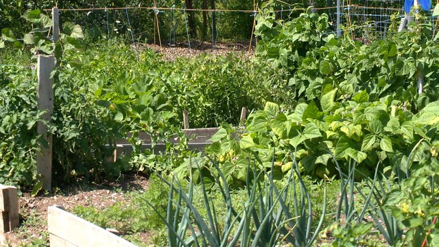 Une école d’agriculture pourrait voir le jour à Percé