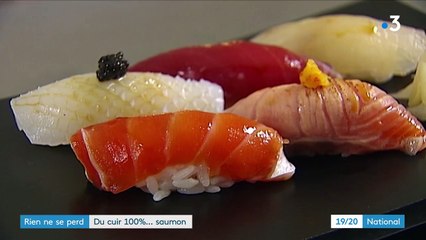 Innovation : des cuirs créés à partir de peaux de poisson