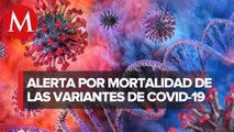 ¿Cuáles son las variantes del coronavirus SARS-CoV-2_