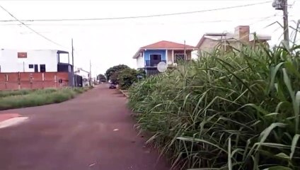 Preocupada com bichos peçonhentos invadindo as casas, moradora denuncia terreno abandonado no Bairro Canadá