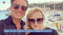 Rebel Wilson and Jacob Busch Split 4 Months After Confirming Their Relationship: He 'Was Not the One' (Source)