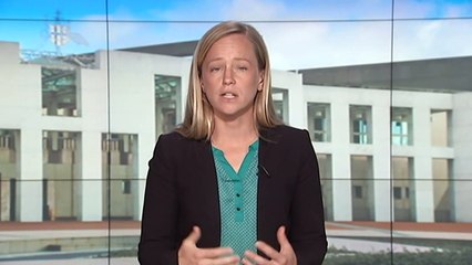 Craig Kelly MP promotes controversial COVID-19 claims