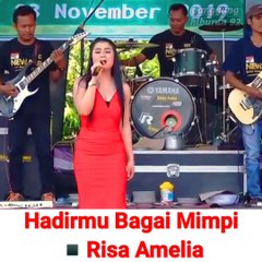 Hadirmu bagaikan mimpi risa amelia