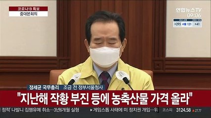 [현장연결] 정총리 "올해 설, 마음으로 함께하는 것이 배려"