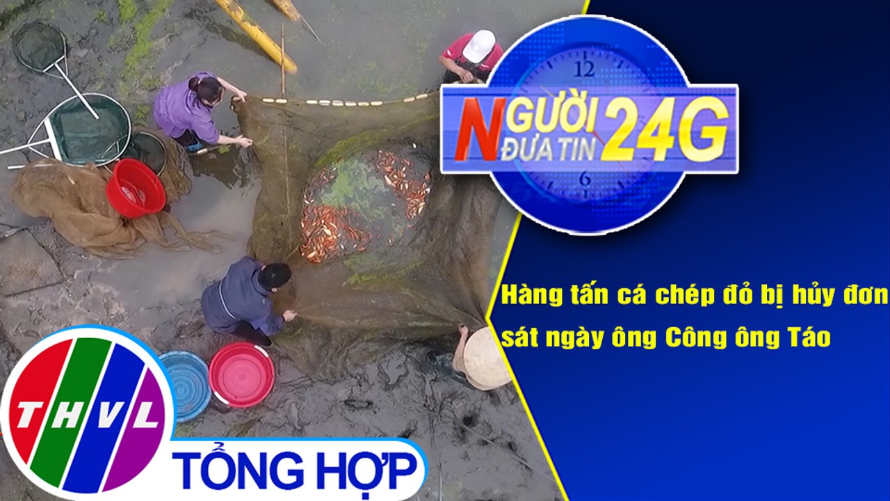 Người đưa tin 24G (18g30 ngày 2/2/2021) - Hàng tấn cá chép đỏ bị hủy đơn sát ngày ông Công ông Táo