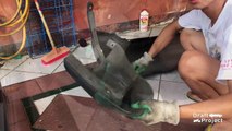 How to Paint your Bumper Part 1 - Honda Civic EG - Draft Project