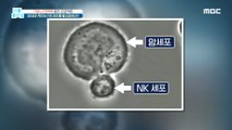 [HEALTHY] Activate NK cells that kill cancer cells!, 기분 좋은 날 20210203