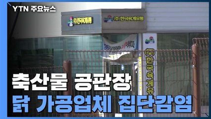 충청 축산물 공판장·닭 가공업체 코로나19 집단 감염 / YTN