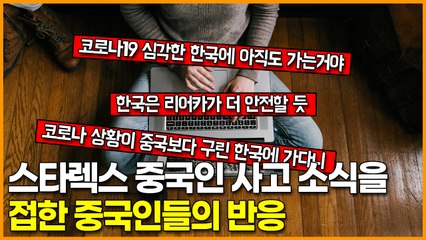 스타렉스 중국인 사고 소식을 접한 중국인들의 반응