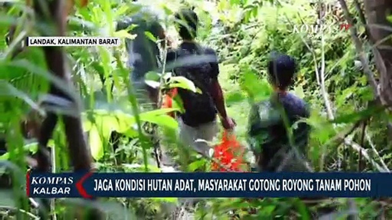 Masyarakat Desa Sepahat Gotong Royong Menjaga Hutan Adat