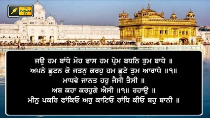 ਸ਼੍ਰੀ ਹਰਿਮੰਦਰ ਸਾਹਿਬ ਤੋਂ ਅੱਜ ਦਾ ਹੁਕਮਨਾਮਾ Daily LIVE Hukamnama Golden Temple, Amritsar | 3 February 21
