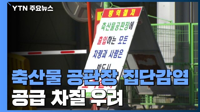 국내 최대 축산물 공판장 집단 감염...생산 육류 전량 폐기 / YTN