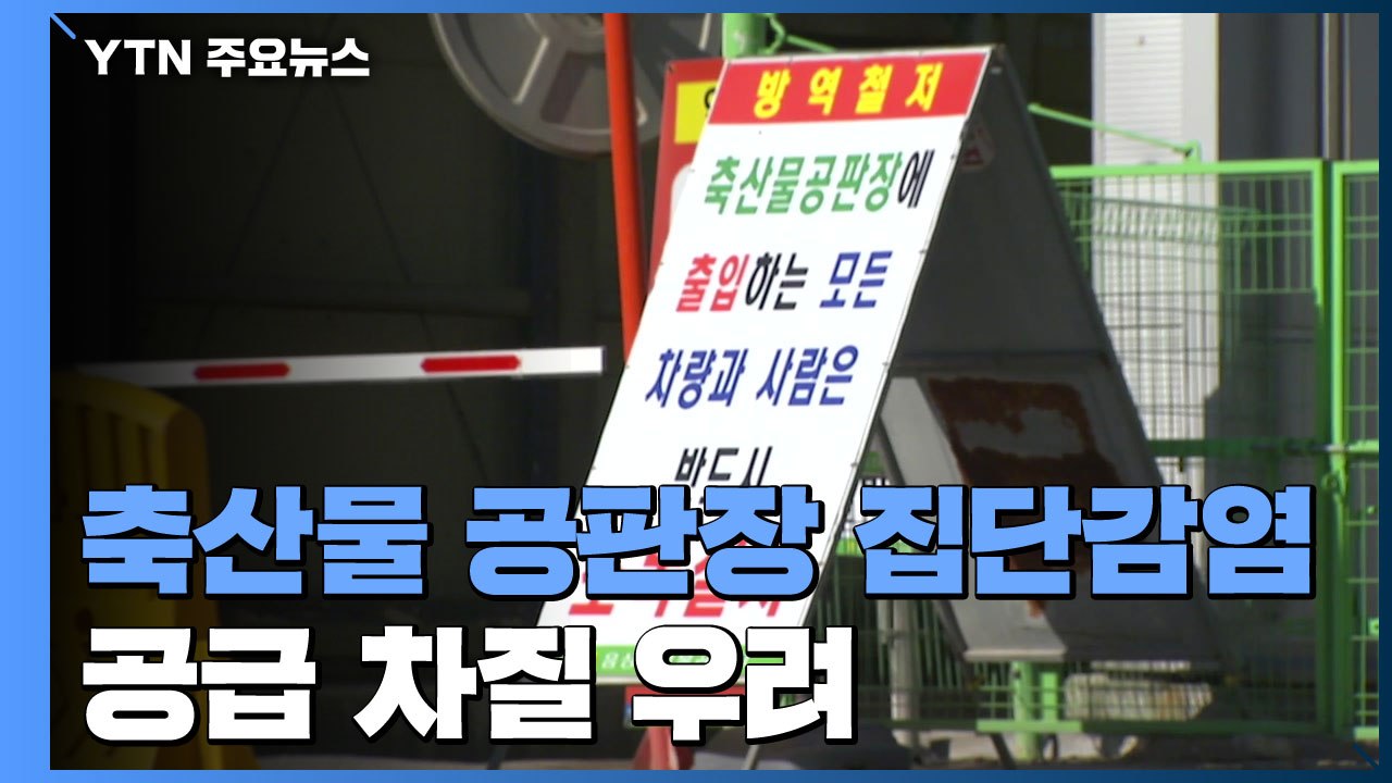 국내 최대 축산물 공판장 집단 감염...생산 육류 전량 폐기 / YTN