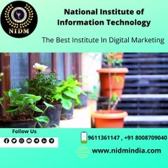National Institute of Information Technology (1)