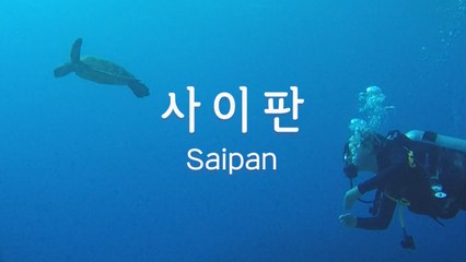 랜선여행 사이판 스쿠버다이빙(Saipan Online Tour, Scuba Diving) / 디따