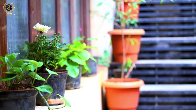 Best Advanced Digital Marketing training Institute in Koramangala, Bangalore _ NIDM INDIA