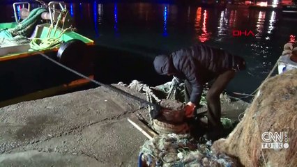 Son dakika: Av yasağı kalktı, ilk hamsiler balık haline geldi