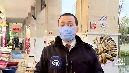 Hamsi avı yeniden başladı