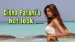 Disha Patani sizzles in hot bikini| Disha Patani's hot look