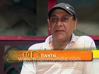Comedian Kanwarjit Paintal on guiding son Hiten Paintal in acting career and life