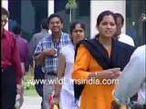 Infosys Campus in Bangalore in 1990s _ Employees on campus grounds, canteens