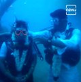 Tamil Nadu Couple Ties The Knot Underwater