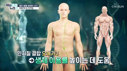 혈관 튼튼 혈관 건강에 좋은 ▸크릴오일◂ TV CHOSUN 210203 방송