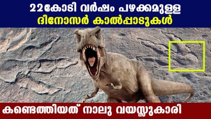 കണ്ടെത്തിയതില്‍ വെച്ച് ഏറ്റവും കൃത്യതയുള്ള ദിനോസര്‍ കാല്‍പ്പാട് | Oneindia Malayalam