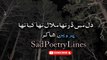 Ek Hunar Tha Kamal Tha Kya Tha | Sad Poetry Lines | Poetry Juncrion