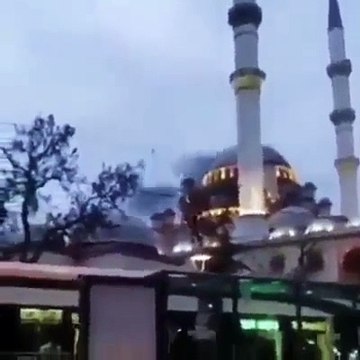 Caminin üstünde tüyleri diken diken eden görüntü