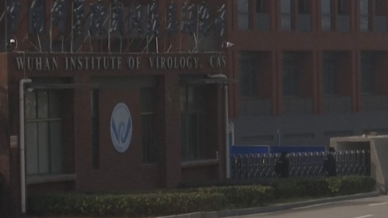 Cari Fakta Virus Korona, Tim WHO Kunjungi Lab Virus di Wuhan
