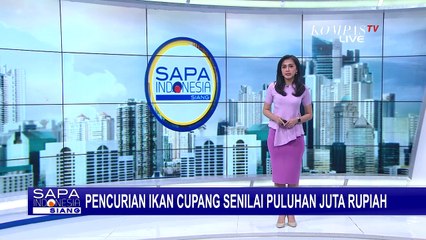 Video herunterladen: Tempat Penjualan Ikan Cupang Hias Senilai Puluhan Juta Rupiah Dibobol Pencuri