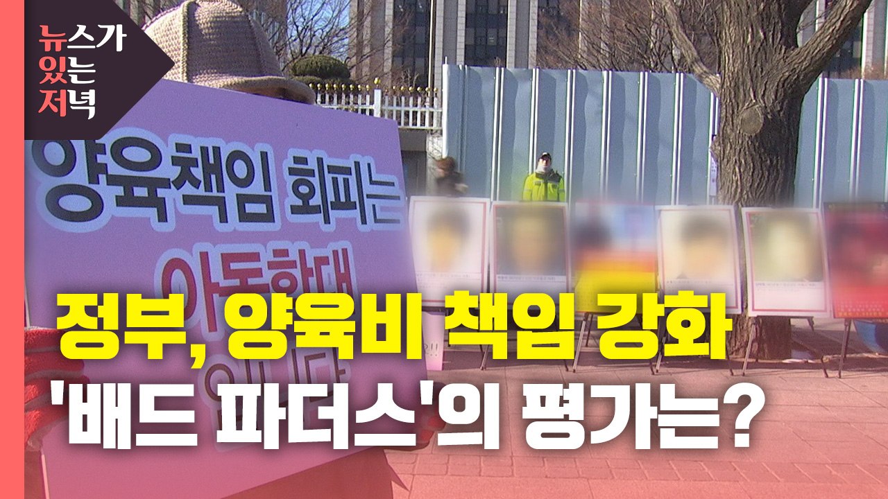 [뉴있저] 정부, 양육비 미지급자 제재 강화...양육비 문제 해결될까? / YTN