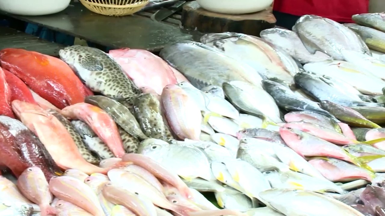 #UlatBayan | Mga taong may allergy, pwede pa ring magpabakuna ayon sa eksperto basta’t ipaalam sa doktor ang allergy history bago magpabakuna