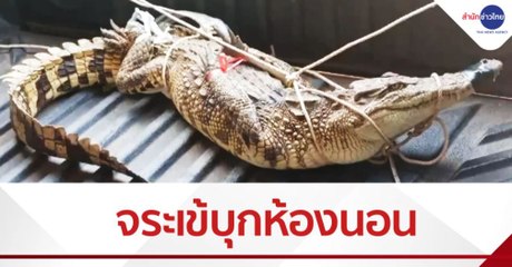 เรื่องพลบค่ำ ช่วงที่ 1 วันพุธที่ 3 กุมภาพันธ์ 2564