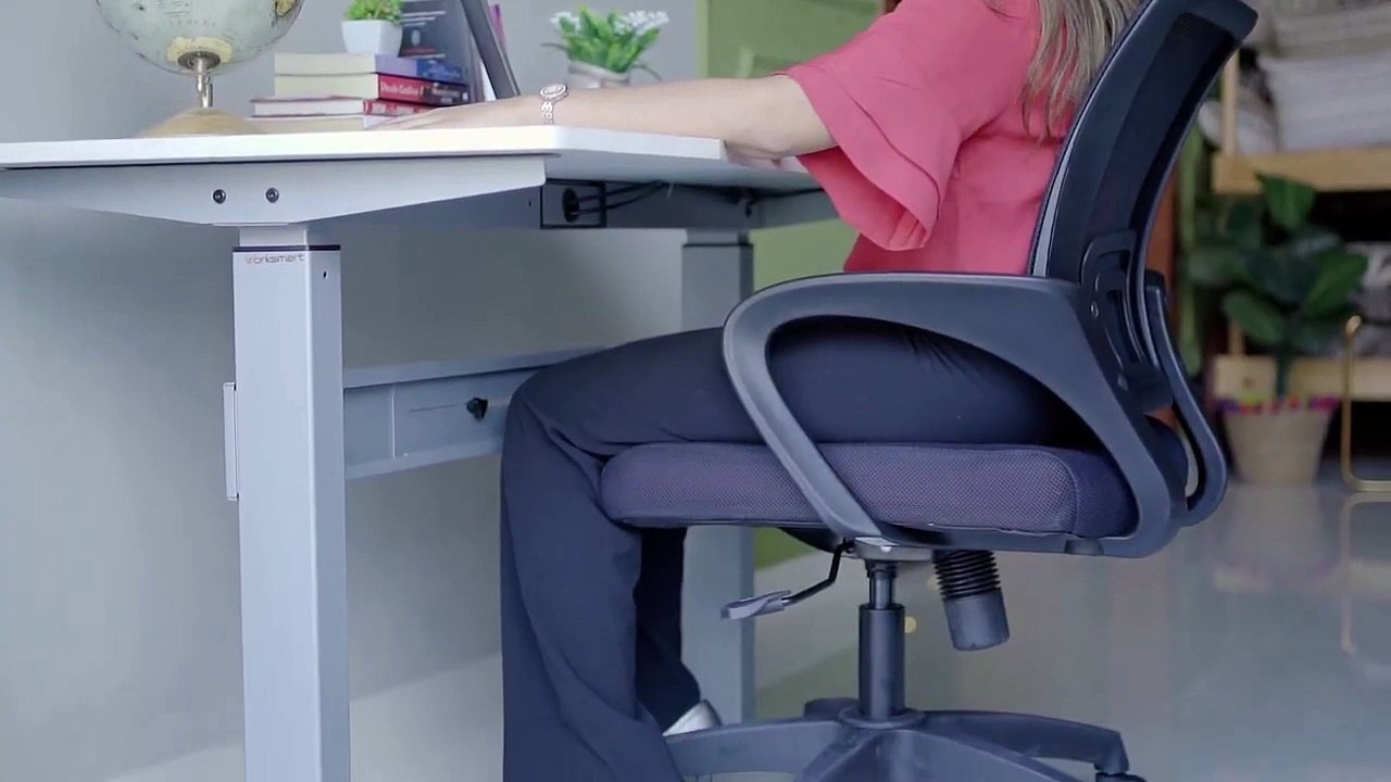 Best Budget Office Chair _ Porus Office Chair _ Wooden Street