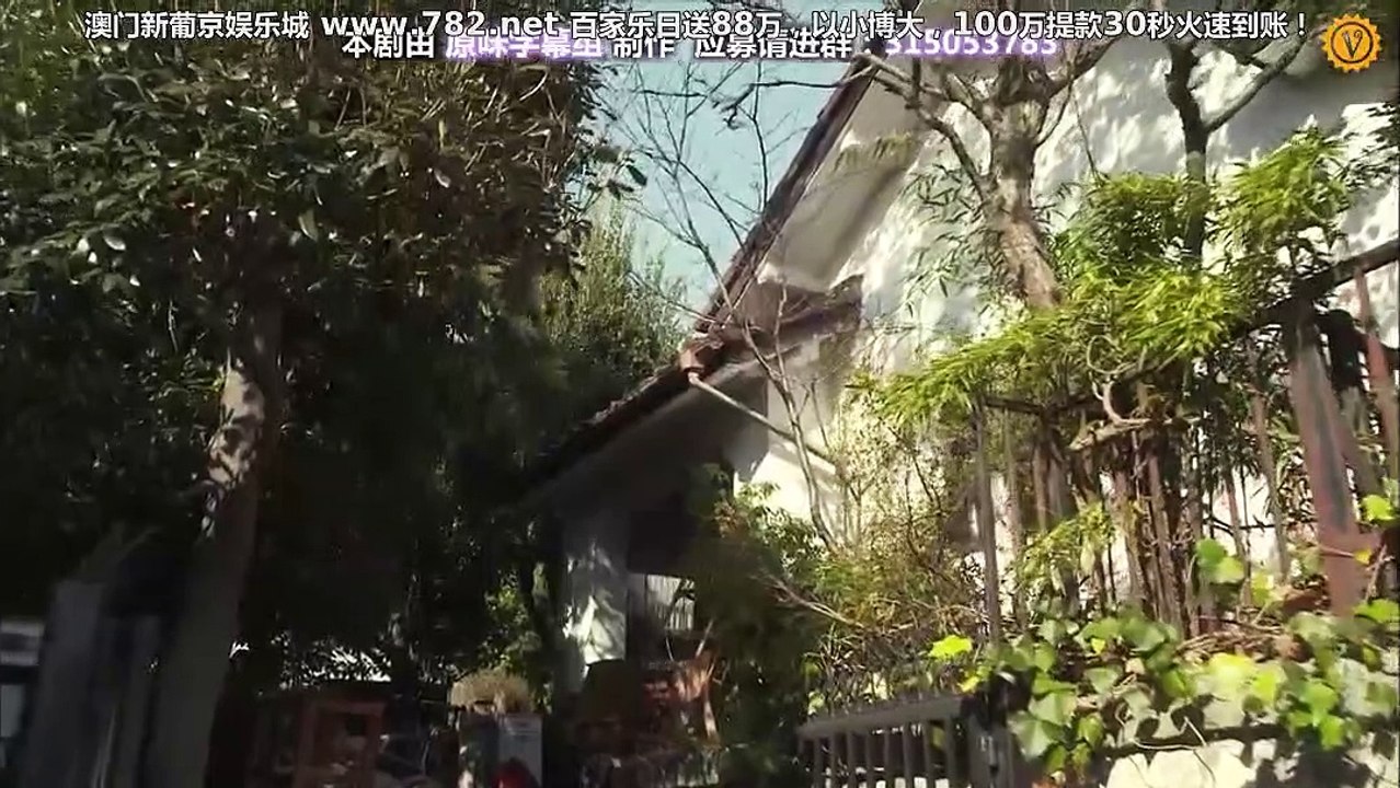所以去荒野 走向荒野第04集