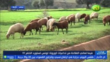 هات الصحيح ليوم الإربعاء 03 فيفري 2021 الجزء الثاني
